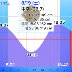 ねばりのチヌ２枚